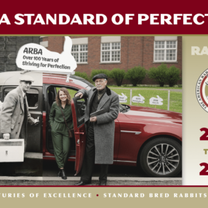 Standard of Perfection - 2026 thru 2030